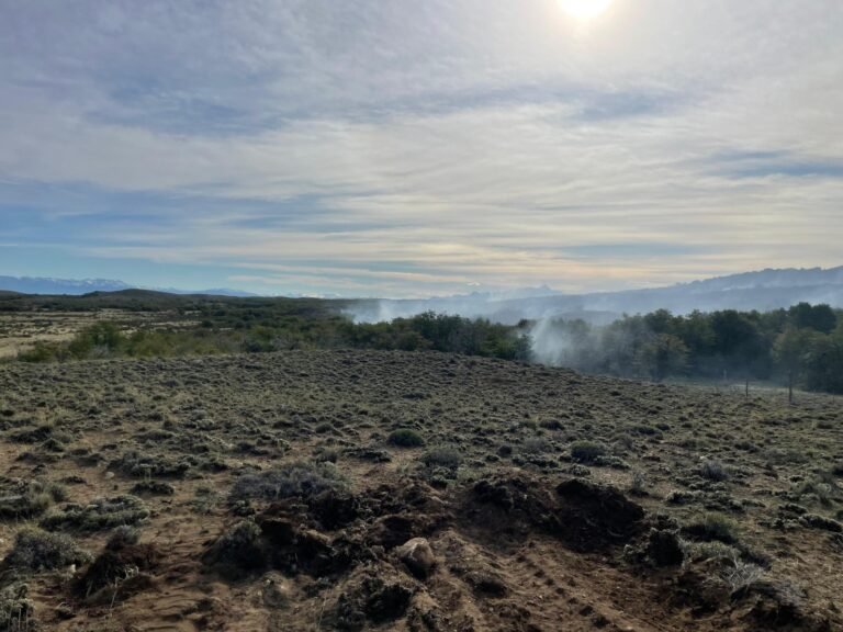 Lograron contener el incendio forestal en la zona de Río Pico