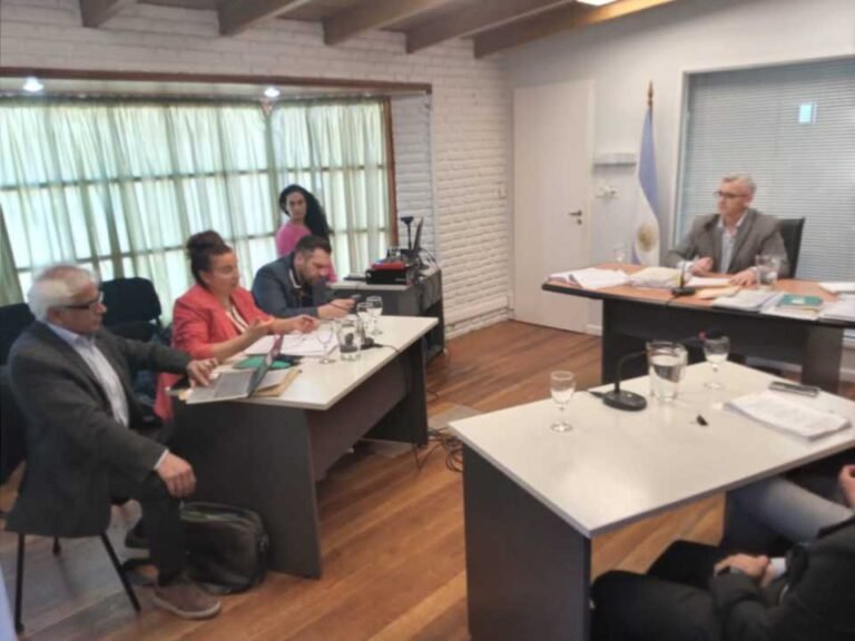 El juicio por la matanza de pingüinos en Punta Tombo tendrá más de 50 testigos internacionales