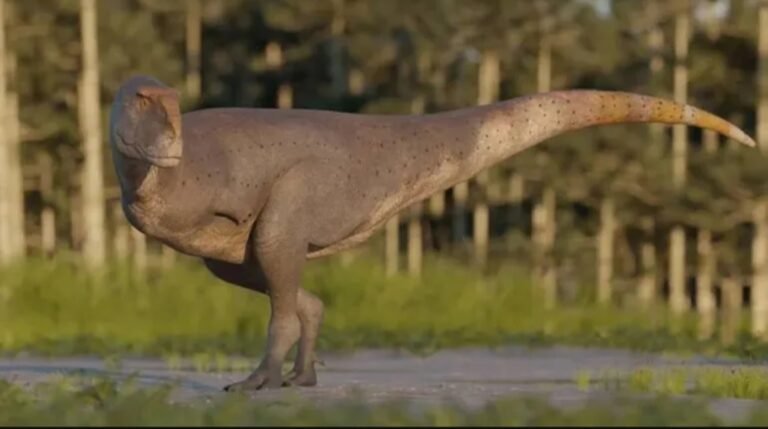 Descubren el fémur de un “dinosaurio enano” que habitaba la Patagonia