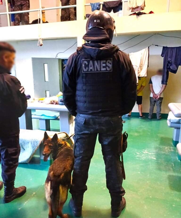 Incautaron celulares, drogas y armas blancas en el Instituto Penitenciario Provincial