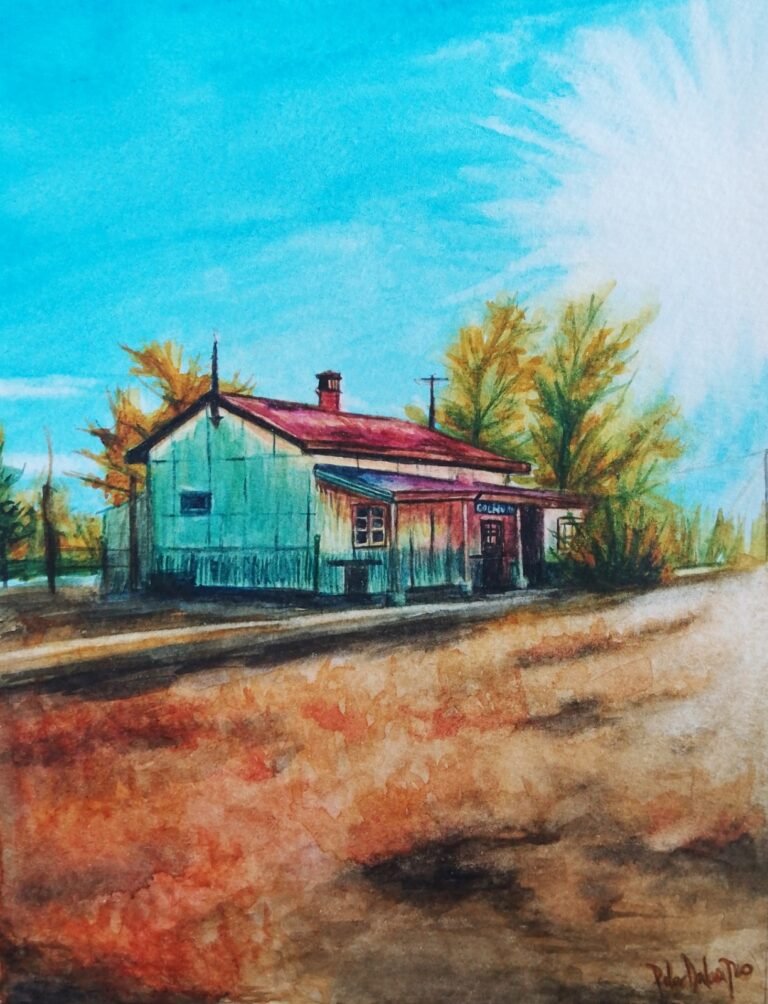 Continúan los ciclos de muestras visuales en Comodoro