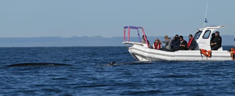 Declararon de interés en el Senado dos estudios de la UNPSJB