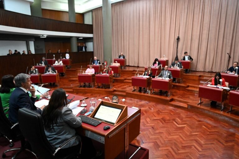 Chubut es la segunda provincia en aprobar la Ficha Limpia para cargos públicos no electivos