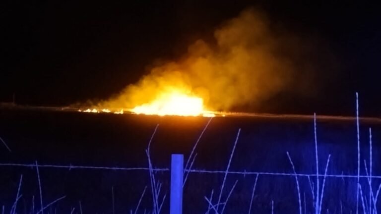 Voraz incendio de pastizales en una chacra