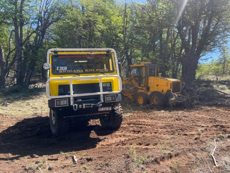 Lograron controlar el incendio forestal en la zona de Río Pico