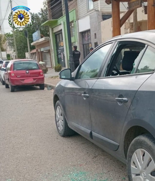 Forcejeo con el ladrón y dio aviso a la Policia