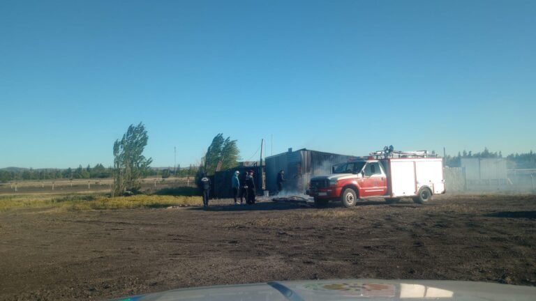 Estaban haciendo un asado y provocaron un incendio