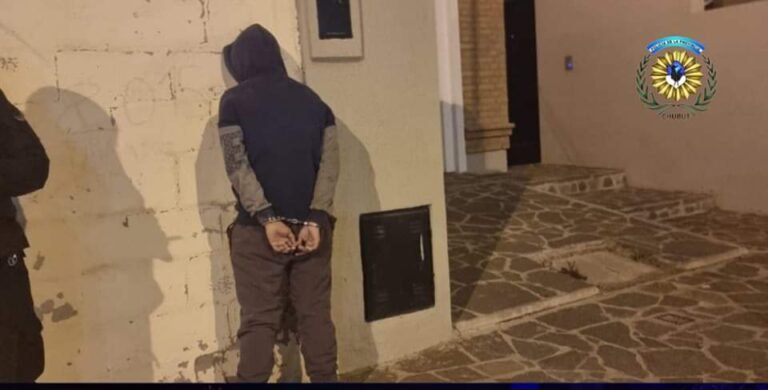 Entraron al patio de una comisaría para robar y la policía los descubrió