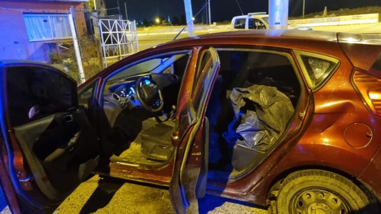 Iba con un auto robado a alta velocidad y transportando animales faenados