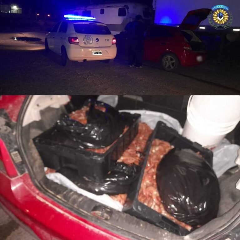 Lo pararon en un control, llevaba 160 kilos de langostinos y se lo decomisaron