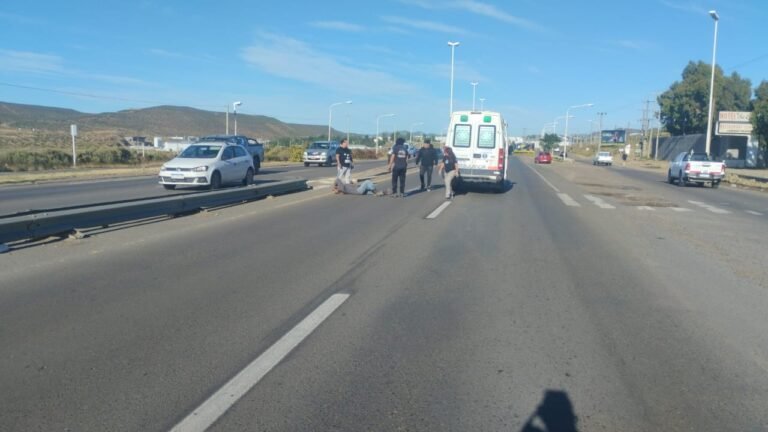 Lo atropellaron cuando cruzaba una Avenida y debió ser trasladado al Hospital