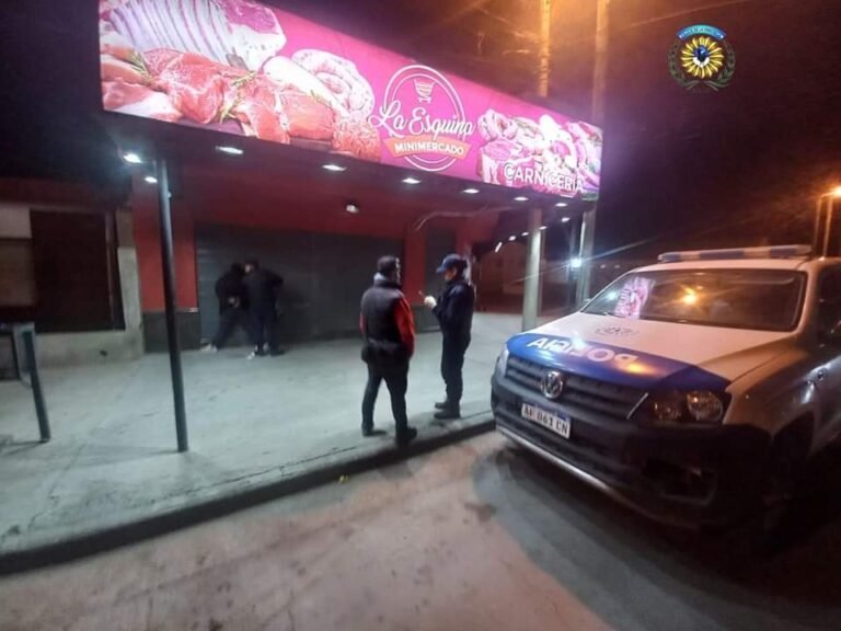 A punta de pistola, un menor le robó el celular y la mochila a una joven