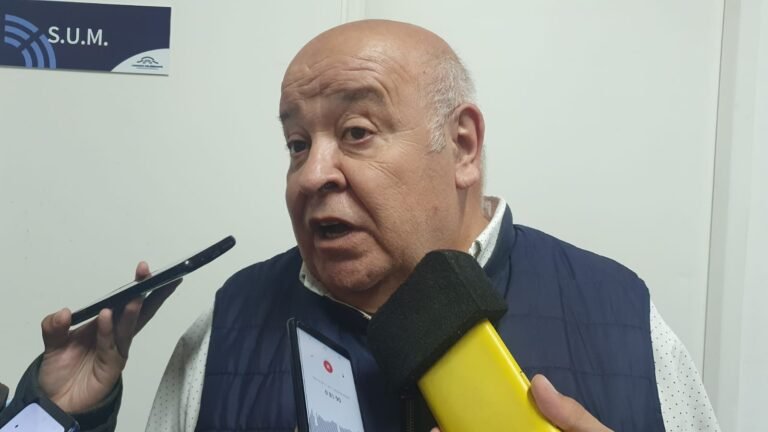 Pirotecnia lumínica: “En cuanto a los controles va a ser muy complicado”