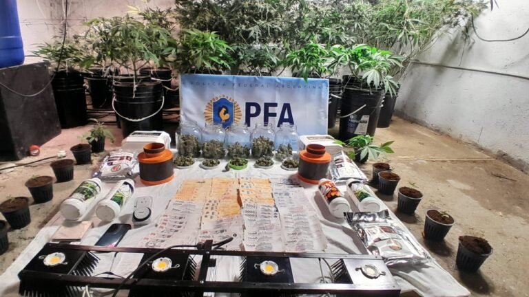 Detuvieron a dos hombres y desmantelaron un indoor de marihuana 