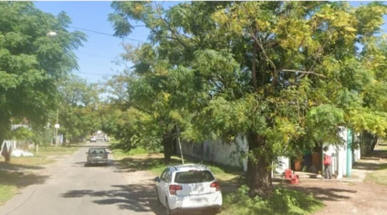 Un hombre murió después de recibir 150 picaduras de abejas