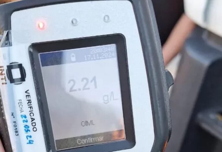 Camionero ebrio y sin papeles intentó evadir un control en una ruta de Chubut