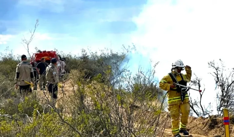 Bomberos controlaron un voraz incendio en Ruta Nacional N°3
