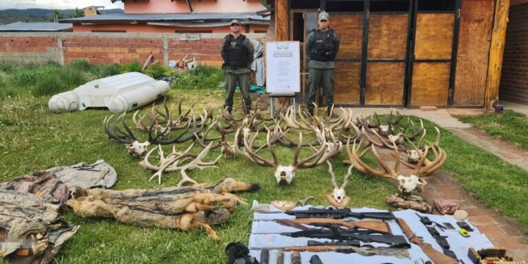 En un gran operativo desmantelaron una red de caza furtiva en Cholila