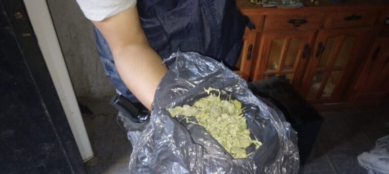 Detuvieron a un hombre por cultivar y vender marihuana