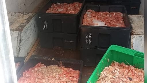Le decomisaron más de 350 kilos de langostinos que llevaba en la camioneta