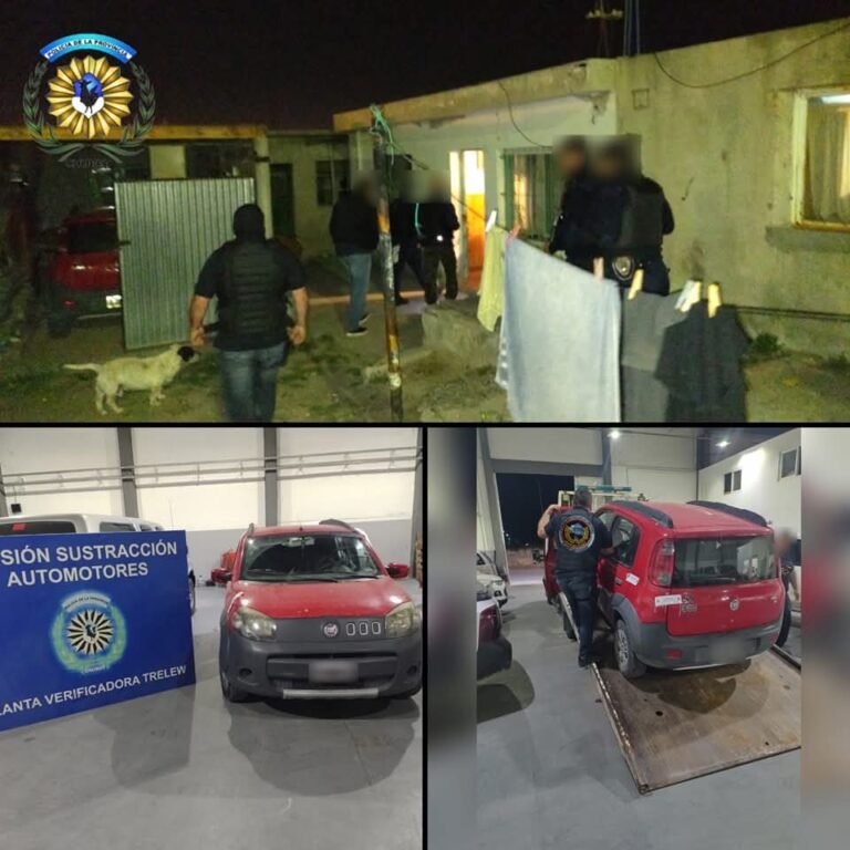 Tenía un auto robado y 15 plantas de marihuana escondidas en su casa