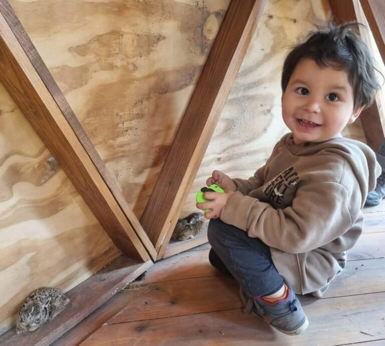 Encontraron con vida a Bautista, el niño que era buscado en Bariloche