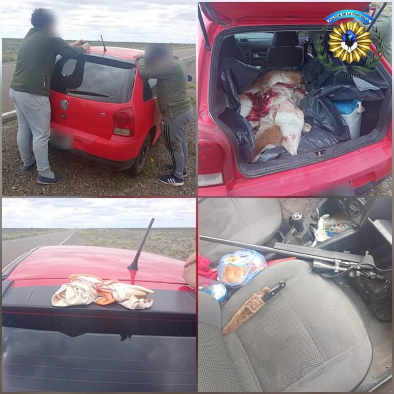 Dos detenidos por caza de guanacos