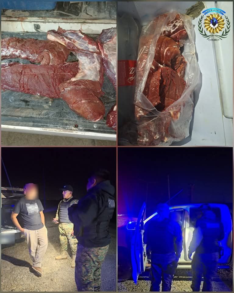 Lo pararon en un control y descubrieron que llevaba carne de guanaco