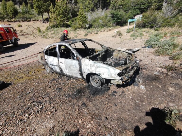 Sacó el auto del taller y se le prendió fuego