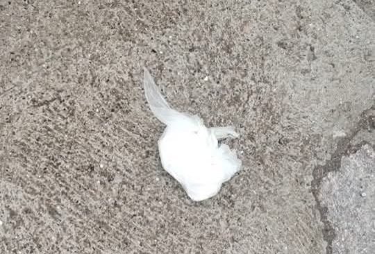 Vio a la policía y tiró un envoltorio con 27 gramos de cocaína