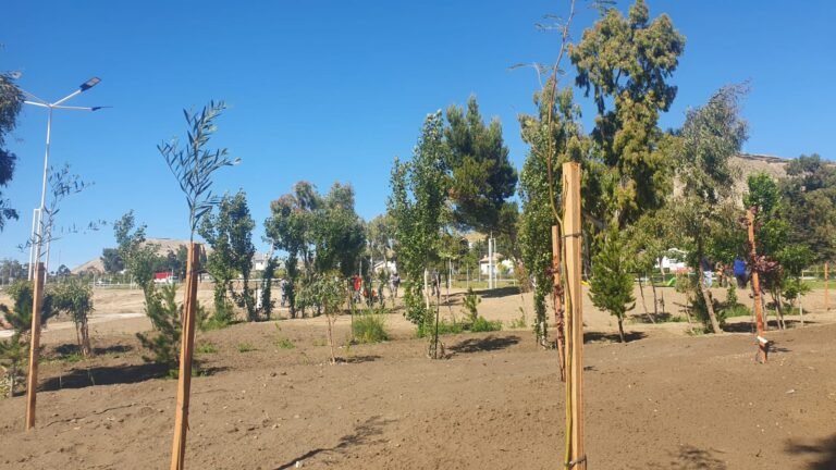 “La segunda etapa del Parque de la Ciudad estará terminada para antes de Navidad”