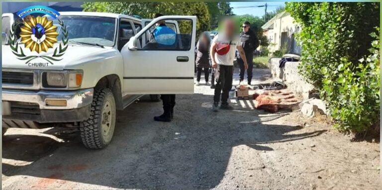 Salió a cazar guanacos con sus perros y le secuestraron la carne