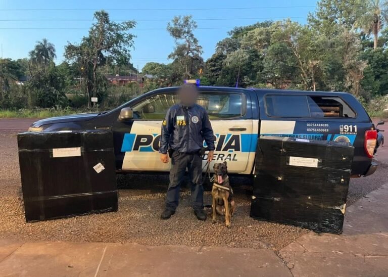 Un perro policía detectó más de 128 kilos de marihuana ocultos en encomiendas
