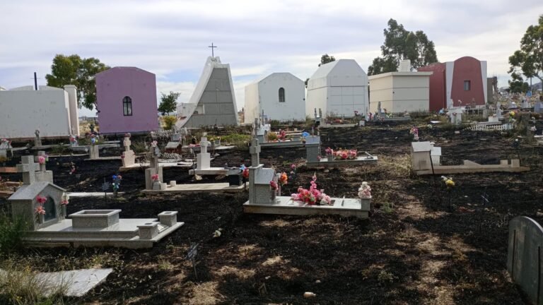 Incendio de pastizales en el Cementerio Oeste