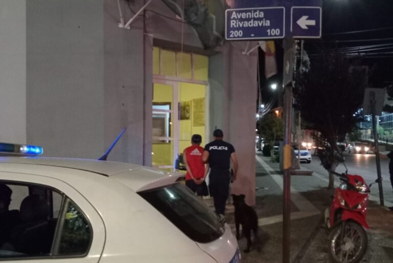 Cuatro jóvenes golpearon y le robaron la cartera a una menor en la Costanera