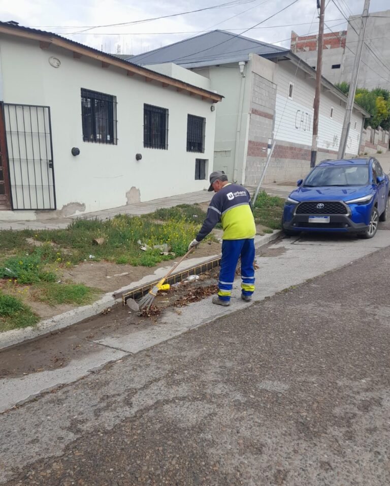 ¿Cómo será el cronograma de recolección este fin de año?