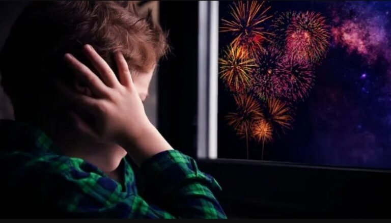 El bloque “Despierta Chubut” impulsa proyecto para prohibir la pirotecnia lumínica