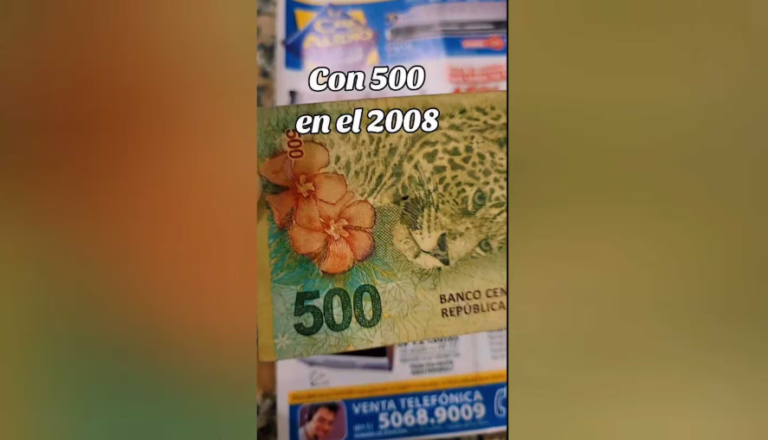 Una mujer mostró qué se podía comprar con $500 en 2008 e impactó a todos