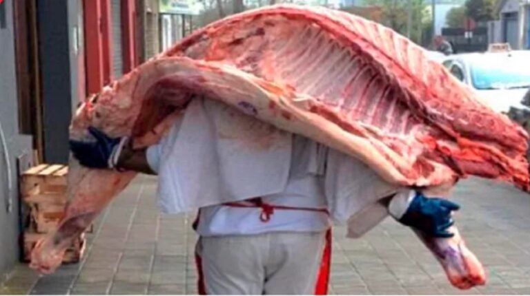 Ola de robos a camiones con carne vacuna: 500 media reses en dos meses