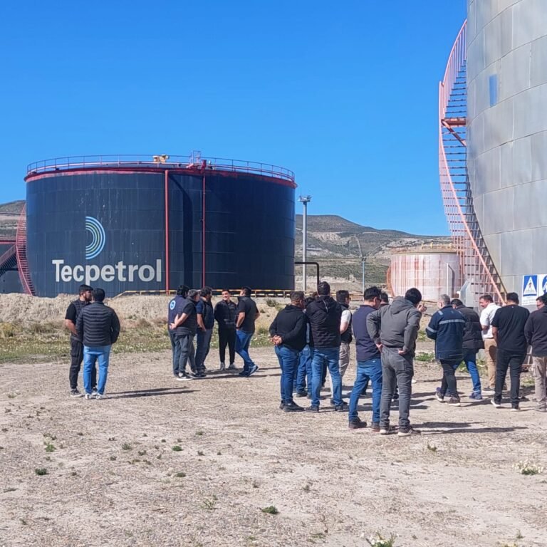“Tecpetrol se lleva activos de Comodoro a Vaca Muerta “