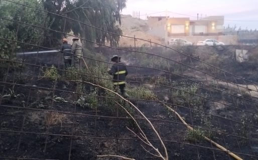 Bomberos debieron sofocar otro incendio de pastizales