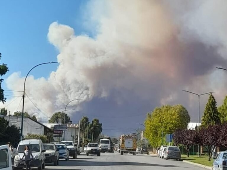Bomberos combaten un incendio forestal en el sendero de acceso al Cajón del Azul