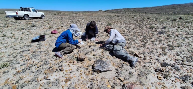 Nuevos hallazgos arqueológicos del CENPAT en la zona de los lagos Musters y Colhué Huapi