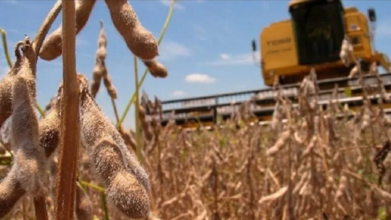 Anunciaron que el Gobierno bajará las retenciones para el campo