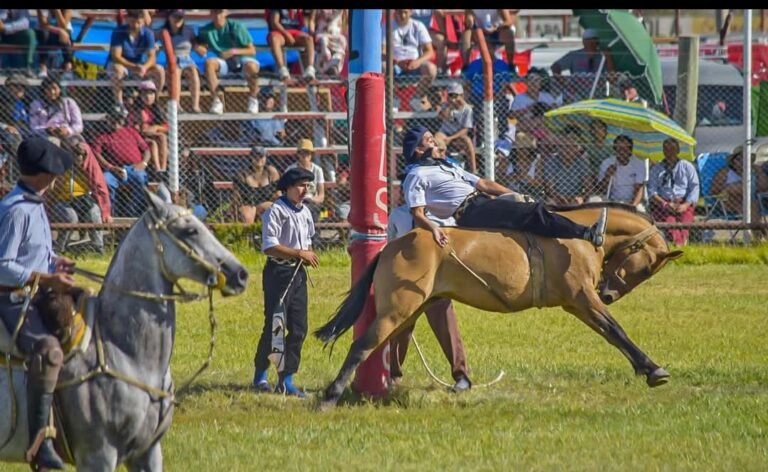 Se suspendió el Festival de Doma y Folclore de Sarmiento