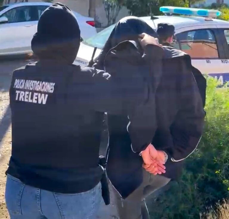 La Policía detuvo a una mujer de 22 años por tentativa de homicidio 