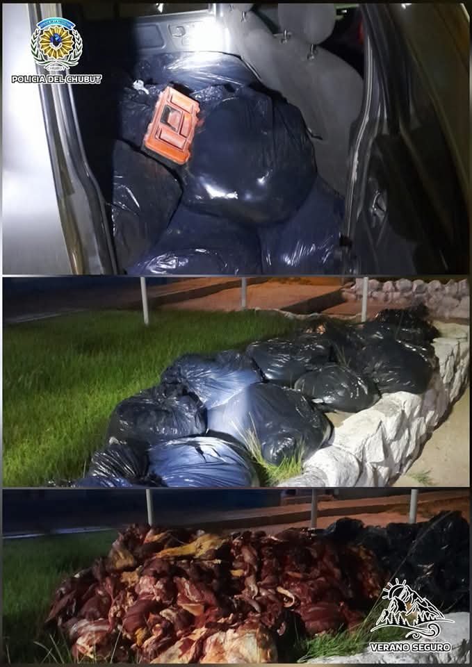 Circulaba con más de 600 kg. de carne sin documentación