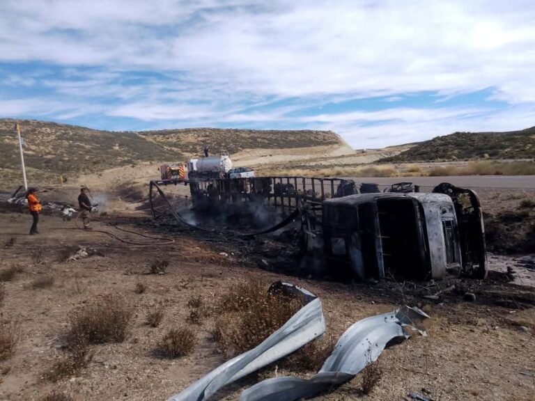 Incendio de camión y pastizales en Ruta 3