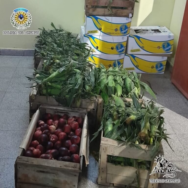 Lo pararon en un control y descubrieron que llevaba una carga ilegal de verduras