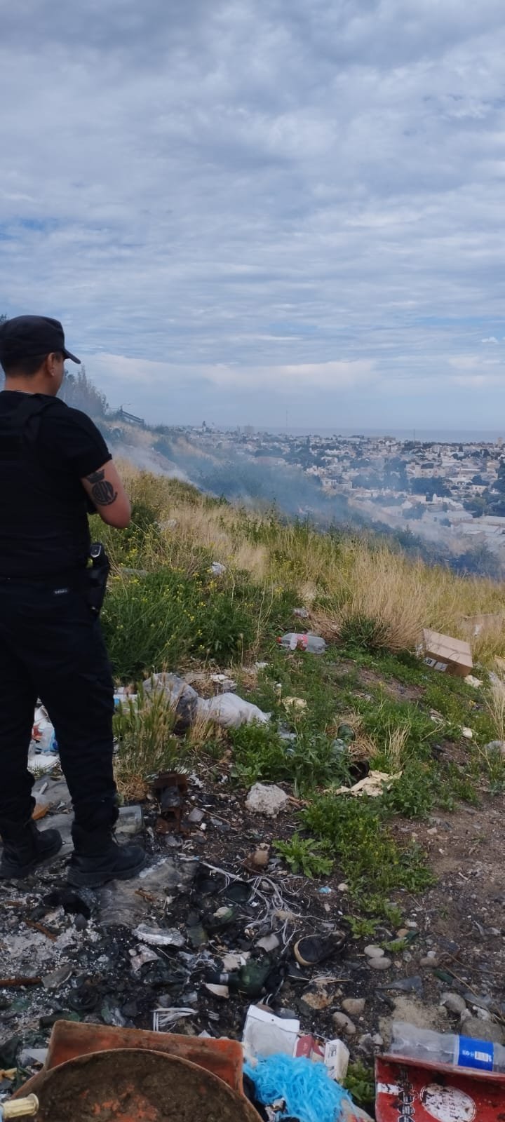 Incendio de pastizales en zona sur